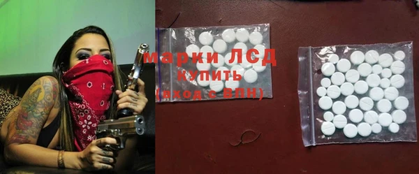сатива Дмитровск