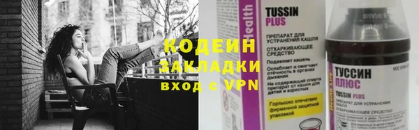 сатива Дмитровск