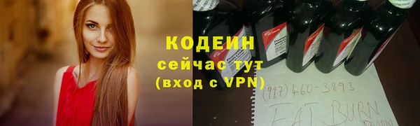 сатива Дмитровск