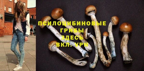 сатива Дмитровск