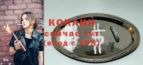 сатива Дмитровск