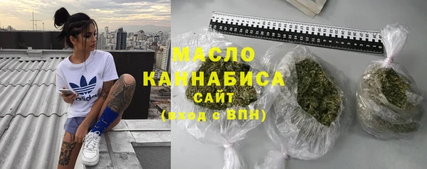 хмурый Дмитров