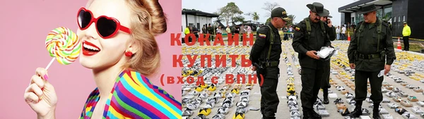 сатива Дмитровск