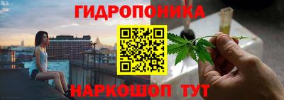 прущие грибы Канаш