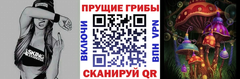 KRAKEN ССЫЛКА  Протвино  Галлюциногенные грибы GOLDEN TEACHER 