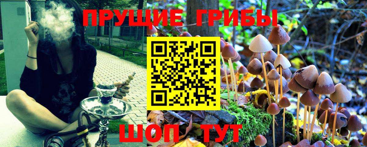 Протвино  Галлюциногенные грибы прущие грибы  Вход с VPN 